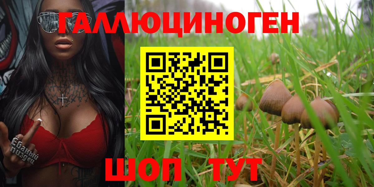 Псилоцибиновые грибы GOLDEN TEACHER  Вход с VPN  Богородицк 