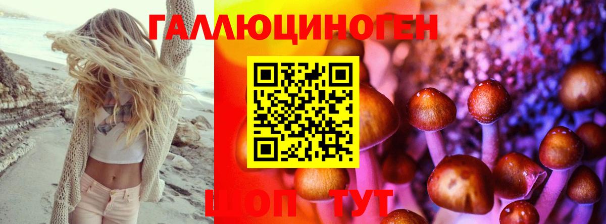 Галлюциногенные грибы GOLDEN TEACHER Богородицк